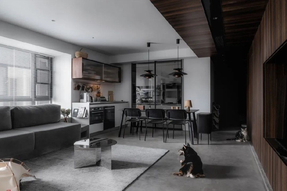 9猫，2狗，2人的极乐星球