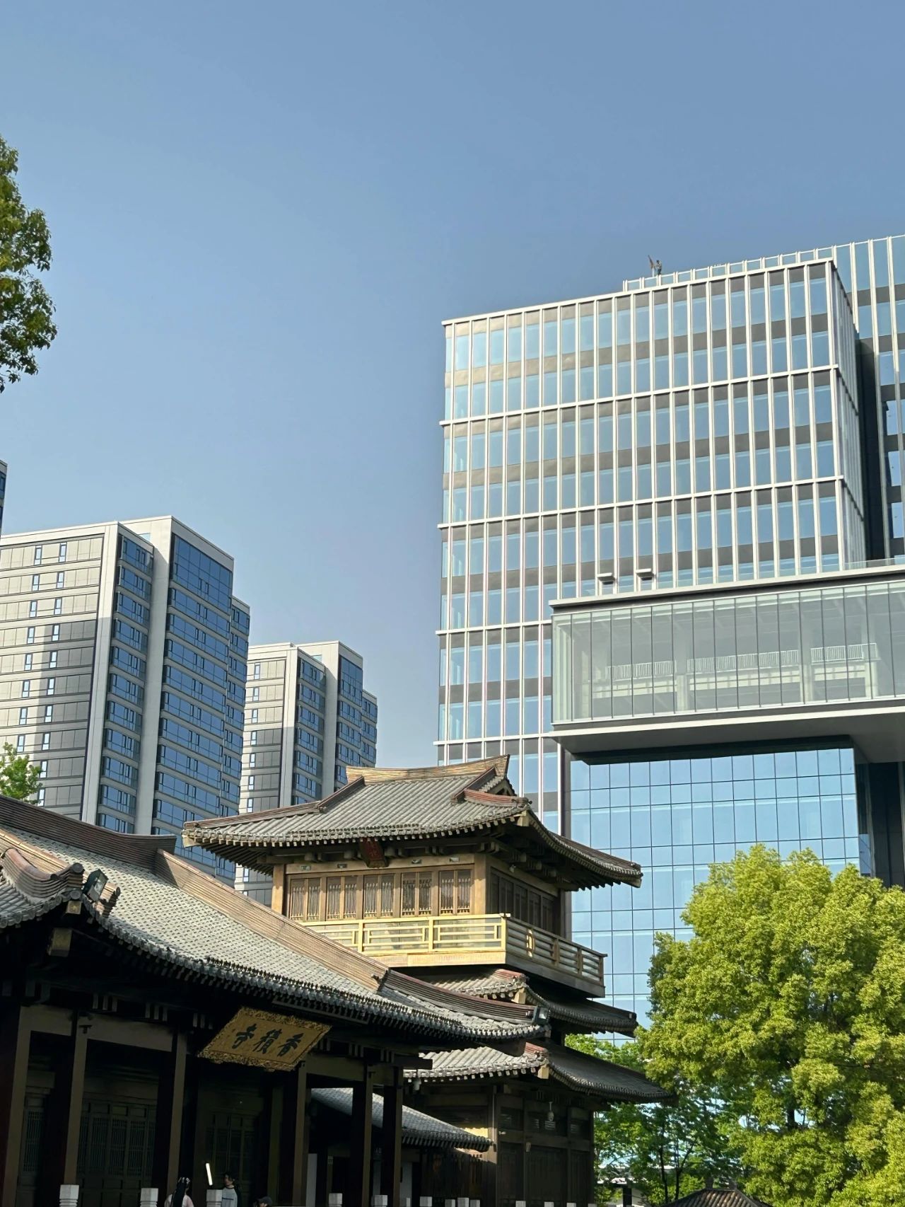 微信图片_20240611170901.jpg
